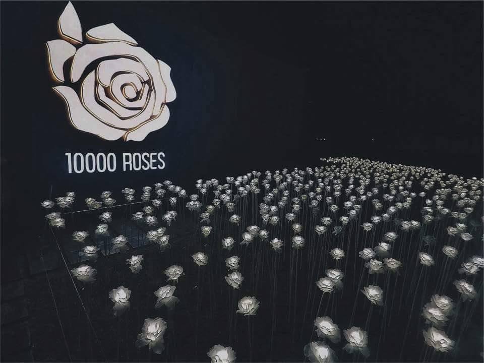 Famous so-called 10,000 Roses Cafe in Cebu - Cebu Car Rental